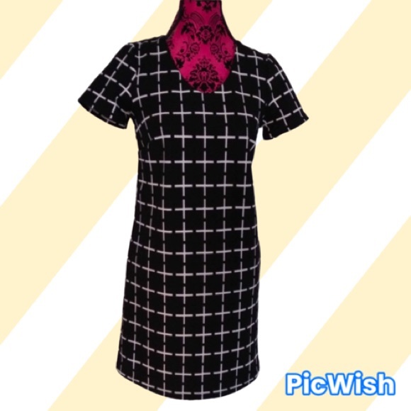 Romeo & Juliet Couture Shift Dress - Picture 4 of 7